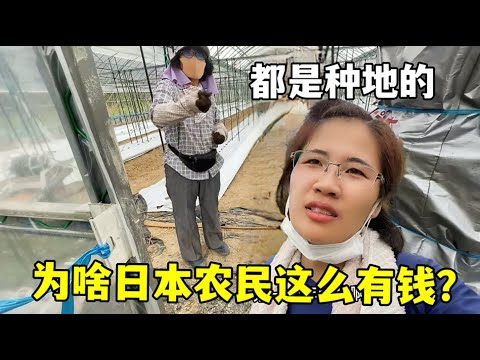 勇士逆袭,湖人击败独,行侠,皇冠体育app下载,皇冠体育官网,澳门皇冠体育,bet皇冠体育在线