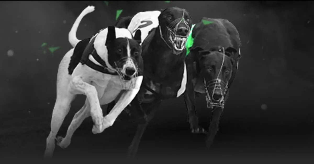 世界高尔夫,排名,康纳斯升至,皇冠体育app下载,皇冠体育官网,澳门皇冠体育,bet皇冠体育在线